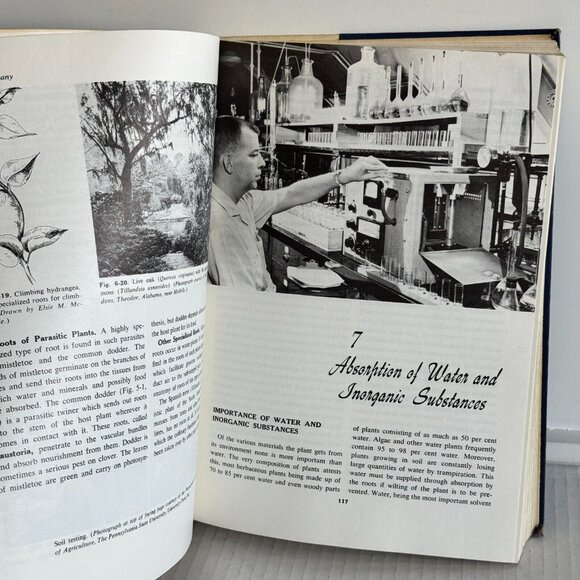 Vintage 1960 Botany: Hill Overholts Popp Grove Mcgraw-Hill Hardcover Book - Picture 9 of 12